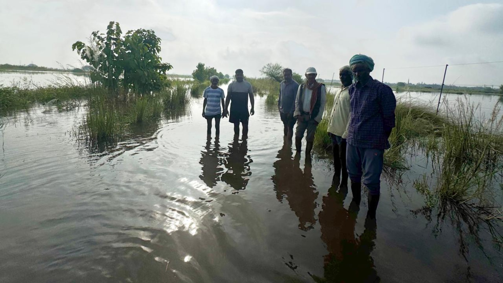 बेहता नाला का पानी खेतों में घुसा सैकड़ों हेक्टेयर धान व अन्य फसलें जलमग्न