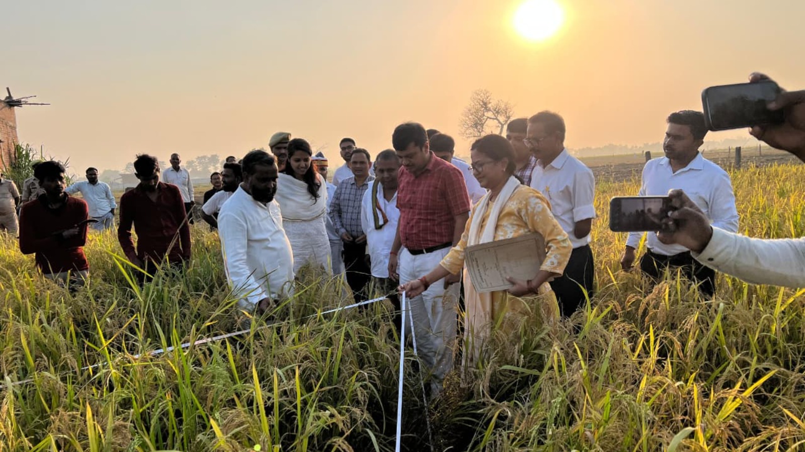 जिलाधिकारी ने धान की क्रॉप कटिंग का किया निरीक्षण