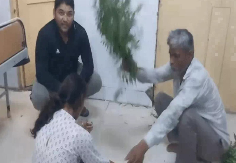 पलवल सरकारी अस्पताल: सांप के काटने पर युवती को नीम की पत्तियों से लगाया झाड़ा