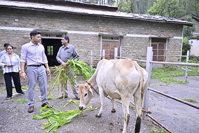 जिलाधिकारी अंशुल सिंह ने भैंसवाड़ा फार्म में निर्माणाधीन गौशाला का किया निरीक्षण